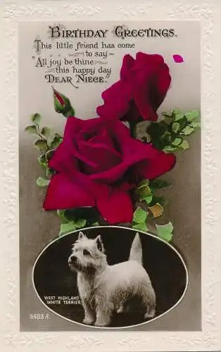 PC25461 Geburtstagsgrüße. West Highland White Terrier. Rote Rosen. Art. RP. 193