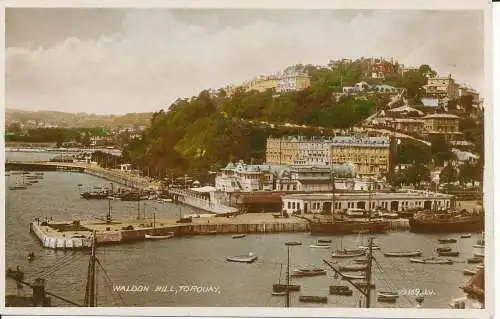 PC26362 Waldon Hill. Torquay. Valentinstag. Nr 99169. RP