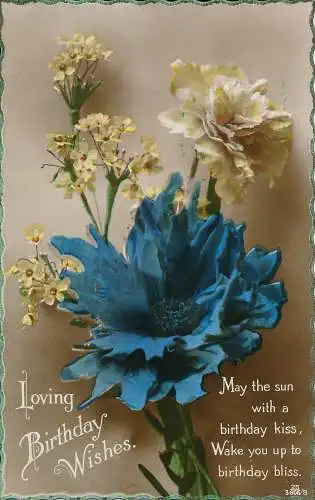 PC26167 Grußkarte. Liebevolle Geburtstagswünsche. Blumen. RP. 1935
