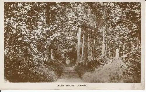 PC28756 Glory Woods. Dorking. F. W. Tigwell