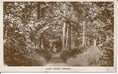 PC28756 Glory Woods. Dorking. F.W. Tigwell