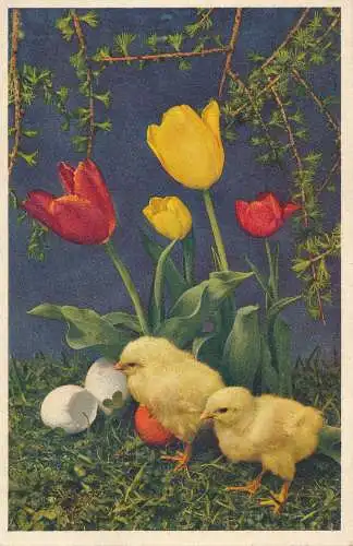 PC30397 altes Gemälde. Küken Eier und Blumen. Gyger. Nr. 3470