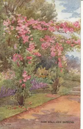 PC25020 Rose Walk. Kew Gardens. Lachs. Nr. 1873