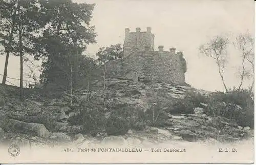 PC28273 Foret de Fontainebleau. Tour Denecourt. E.L.D. No 451