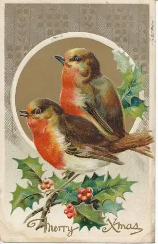 PC24091 Grußkarte. Frohe Weihnachten. Vögel. B. B. London. Nr. X.252. 1910