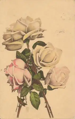 PC25794 alte Postkarte. Rosen. Day und Co. 1913