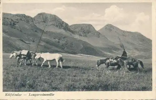 PC31206 Kalfstindar. Laugarvatnsvellir