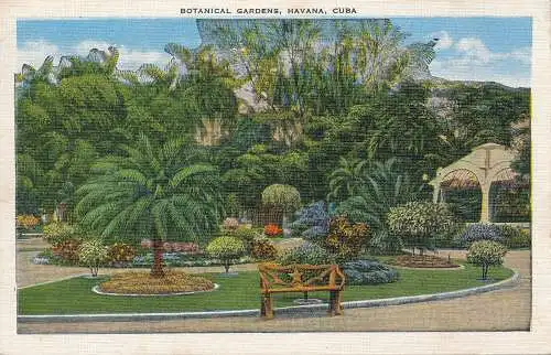 PC31051 Botanischer Garten. Havanna. Kuba. Roberts und Co