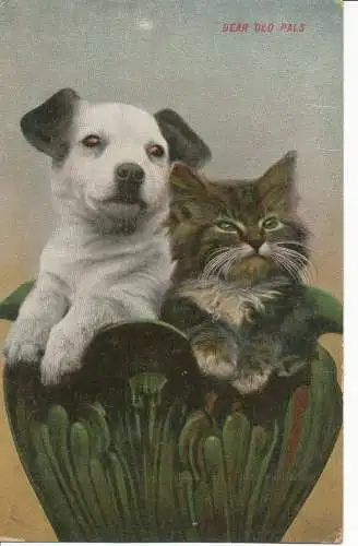 PC26651 Liebe alte Freunde. Ein Hund und eine Katze. Nr 20. 1912