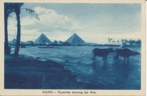 PC28223 Cairo. Pyramiden zeigen den Nil. Nr 9684