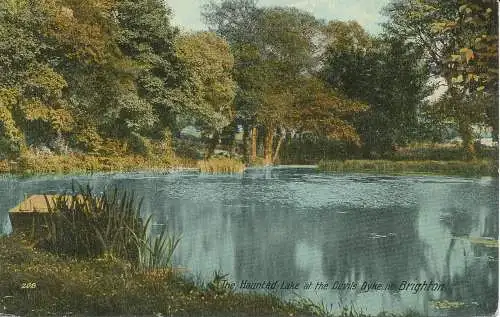 PC24014 Der verwunkte See am Teufelsdeich. Nr. Brighton. Nr. 208. 1920