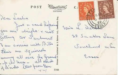 PC32601 Alte Postkarte. Gänse. Lachs. Nr 5166. 1959