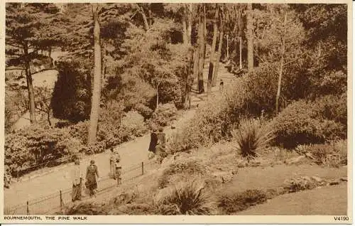 PC26853 Bournemouth. Der Pine Walk. Photochrom. Nr. V4190