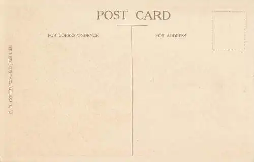 PC28768 Leiter von Windermere und Loughrigg. F. R. Gould