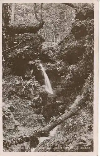 PC25010 Grey Mares Tail. Crichope Linn. Thornhill. James Maxwell. RP. 1916