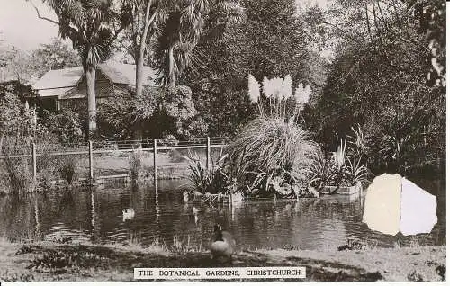 PC26899 Der Botanische Garten. Christchurch