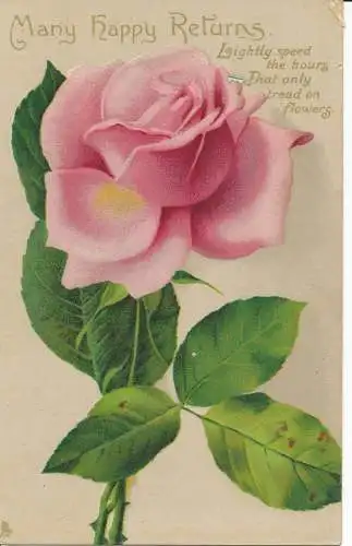 PC24098 Grüße. Viele glückliche Rücksendungen. Rosa Rose. stecken. Rapholette Glosso. Nr 60