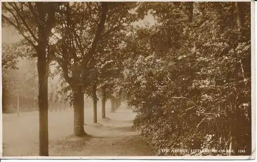 PC32424 The Avenue. Kleiner Stein auf See. S. und E. Norman. Nr. 1243. RP. 1938