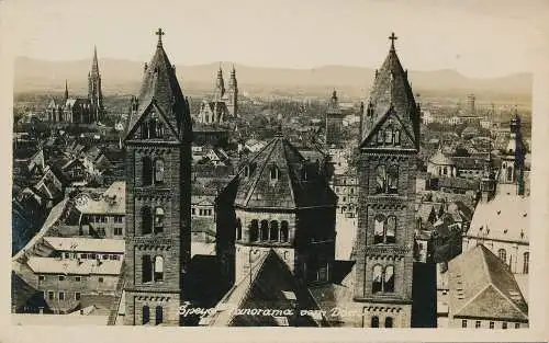 PC30918 Speyer. Panorama vom Dom. Bayer