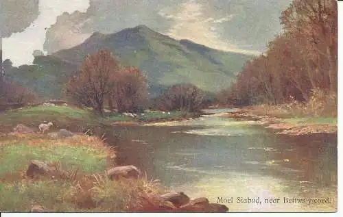 PC24376 Moel Siabod in der Nähe von Bettws Y Coed. Wildt und Kray. Nr. 516