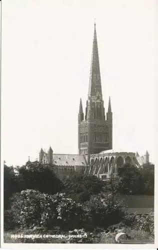 PC34956 Kathedrale von Norwich. Judges Ltd. Nr. 14926. RP