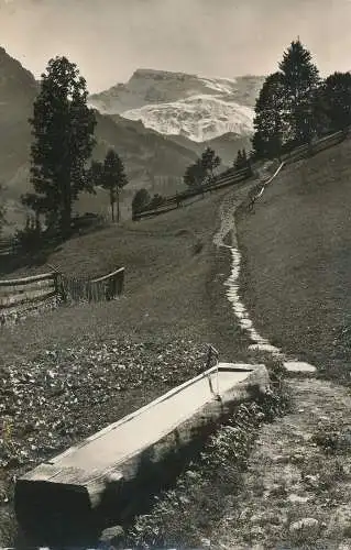 PC31378 Adelboden. Am Weg n. der Kohlernschlucht. Wildstrubel. Gyger. Nr. 5911. 1