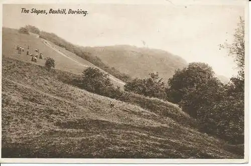 PC25274 Die Hänge. Boxhill. Dorking. Milton. Woolstone Bros. 1928