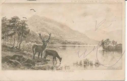 PC25387 am langen Loch. Faulkner. 1904