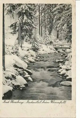 PC27241 Bad Harzburg. Radautal Beim Wasserfall. Gr. Flottbeck. 1953