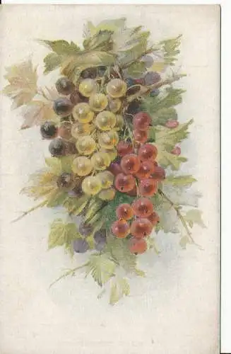 PC28831 alte Postkarte. Stachelbeeren. Photochrom. Celesque. Nr. 1733