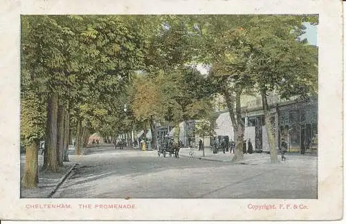 PC24119 Cheltenham. Die Promenade. F.F. 1906