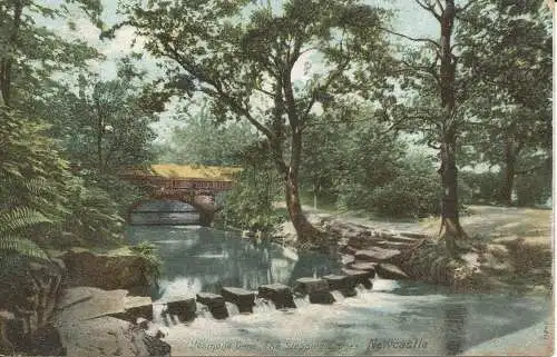 PC25204 Jesmond Dene. Die Trittsteine. Newcastle. Nr. 11849. 1905