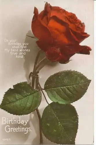 PC26847 Geburtstagsgrüße. Eine rote Rose. RP. 1925