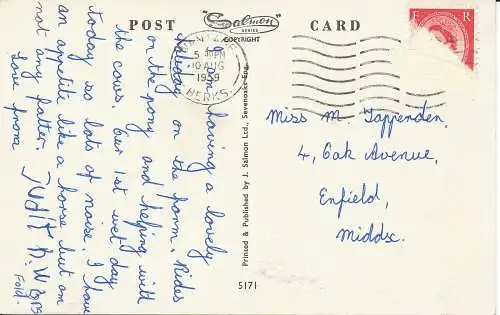 PC29264 alte Postkarte. Pferde. Lachs. Nr. 5171. 1959