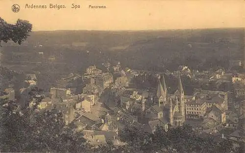 PC31459 Belgische Ardennen. Spa. Panorama. Nels. Hopkins