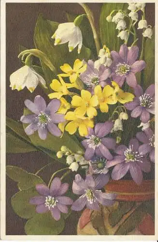 PC29275 Frühlingsblumen. Gyger. Nr. 1458