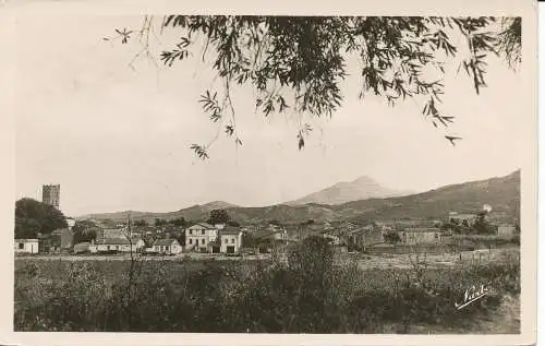 PC27448 Argeles sur Mer. Allgemeine Ansicht. Im Hintergrund die Bäume. Narbo. 1952