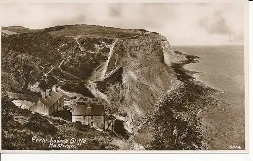 PC25883 Ecclesbourne Cliffs. Hastings. Palace Book Depot. Nr. 6854