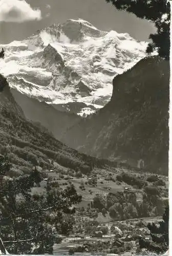 PC26998 Wilderswil. Die Jungfrau 4158 m. E. Gyger. Nr. 11566. 1956