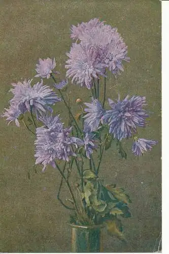 PC24250 alte Postkarte. Blumen. Serie 208. Nr. 71