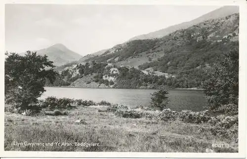 PC27642 Llyn Gwynant und Yr Aran. Beddgelert. Lilywhite. RP