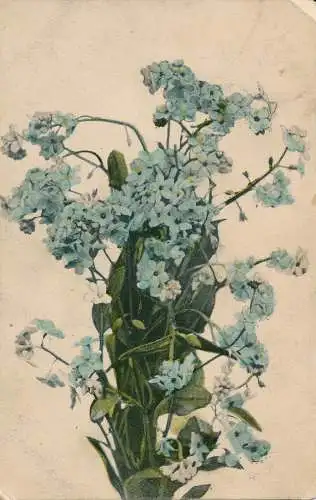 PC29424 alte Postkarte. Blumen. 1907
