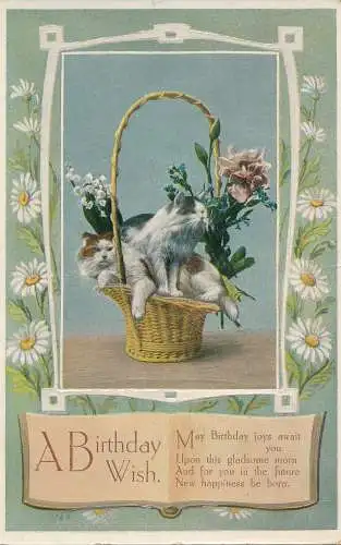 PC32979 Grußkarte. Ein Geburtstagswunsch. Katzen und Blumen im Korb. 1911