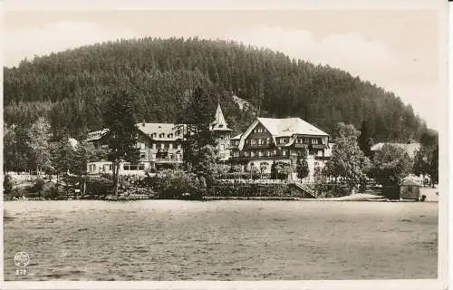 PC31681 Schwarzwald Hotel am See. Titisee 860m u. M. Franz. RP