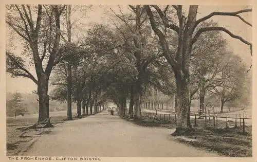 PC33149 Die Promenade. Clifton. Bristol