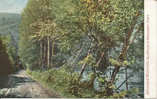 PC29767 Adirondack Mountains. Die Birken bei Wilmington Notch. C. Leighton. Nr. 8