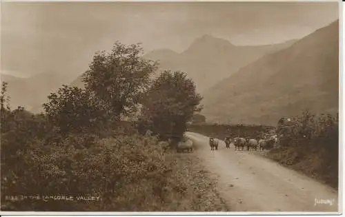 PC35394 im Langdale Valley. Judges Ltd. Nr. 2133. RP