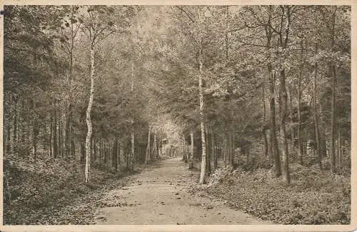 PC31318 Leipziger. Raumange. Wandererverlag. 1913