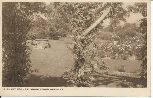 PC30859 Eine schattige Ecke. Abbotsford Gardens. RA. 1947