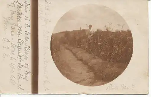 PC27277 alte Postkarte. Frau auf dem Feld. 1906